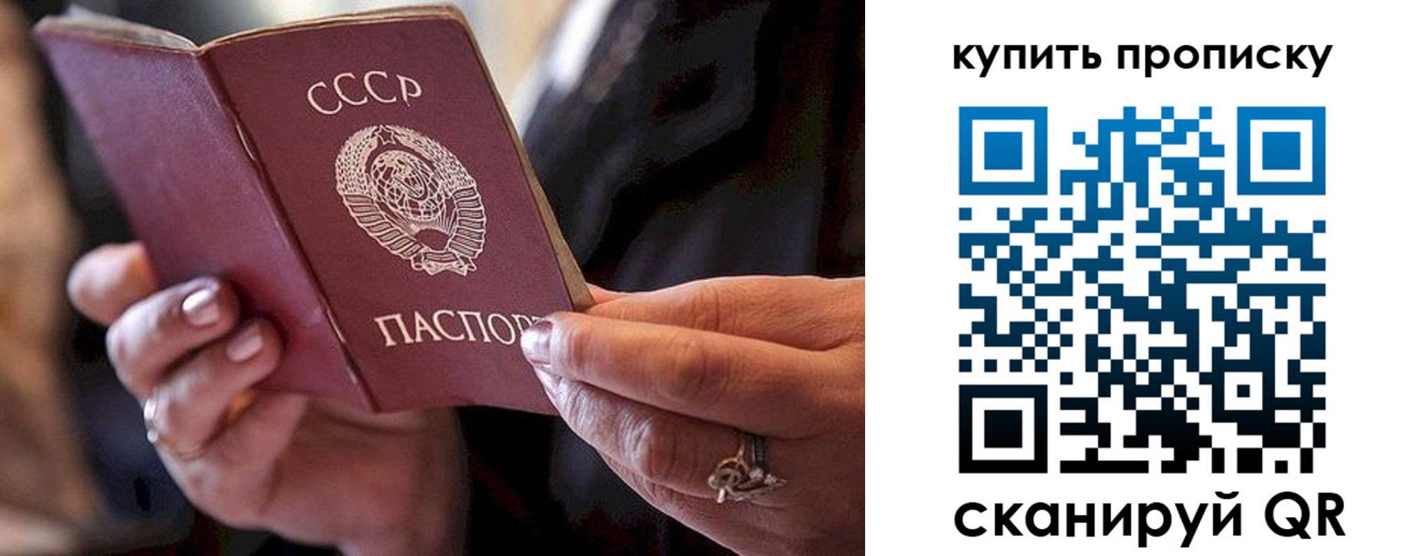 прописка в квартире в Оленегорске